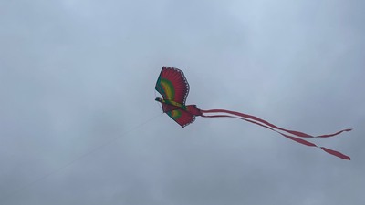 Počasí nám přálo, draci lítali báječně