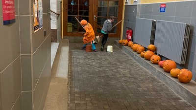 Harry Potter v knihovně