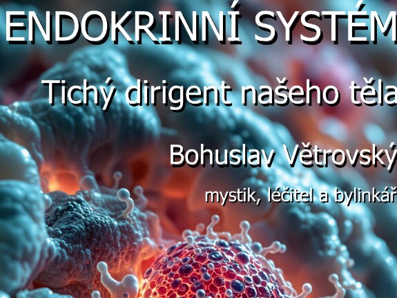 Endokrinní systém