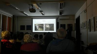 Z přednášky doktora Minaříka Salcburské vévodství 