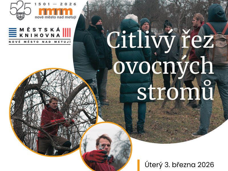 Citlivý řez ovocných stromů