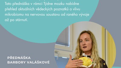 Jak střevní mikrobiom ovlivňuje náš mozek