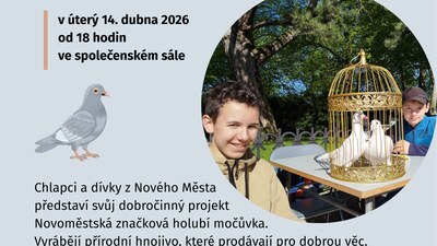 Novoměstská holubí močůvka