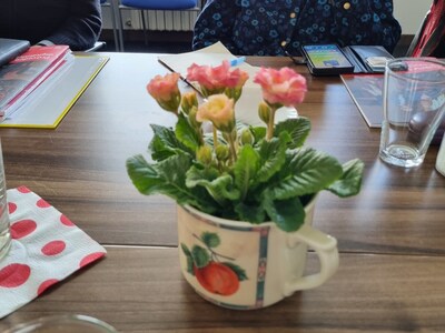 Jak na chytrý telefon a tablet