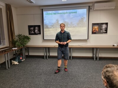 Citlivý řez ovocných stromů