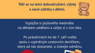 Medvídek na prázdniny